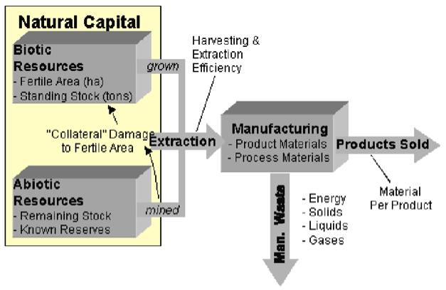Systems Thinking Primer for Natural Capitalism: The Four Basic
